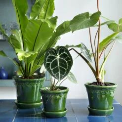 Bergs Potter Copenhagen Pot Geglazuurd Ø18 Cm -Sfeer Decoratie 38167 01 06 c5a3594a64