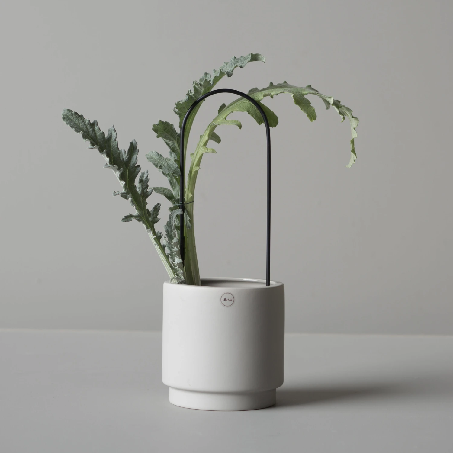 DBKD Flower Arc 4 DBKD Flower Arc - Afbeelding 2