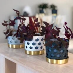 Klong Trio Bloempot Drop, Klein Ø12 Cm -Sfeer Decoratie 40760 01 04 e0805774df