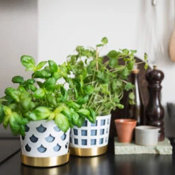 Klong Trio Bloempot Drop, Klein Ø12 Cm -Sfeer Decoratie 40760 01 06 380f856faf