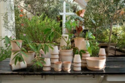 Bergs Potter Helena Pot Ø30 Cm -Sfeer Decoratie 46745 01 3 EnvironmentImage 3053cfbd6b