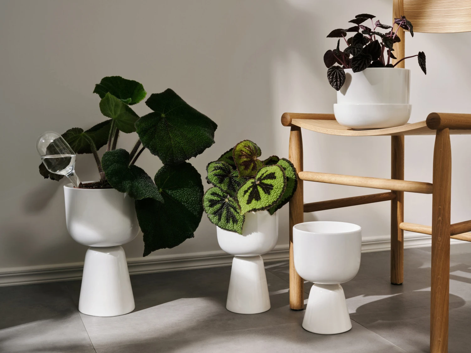 Iittala Nappula Pot Met Schotel Ø17 Cm H13 Cm 5 Iittala Nappula Pot Met Schotel Ø17 Cm H13 Cm - Afbeelding 3