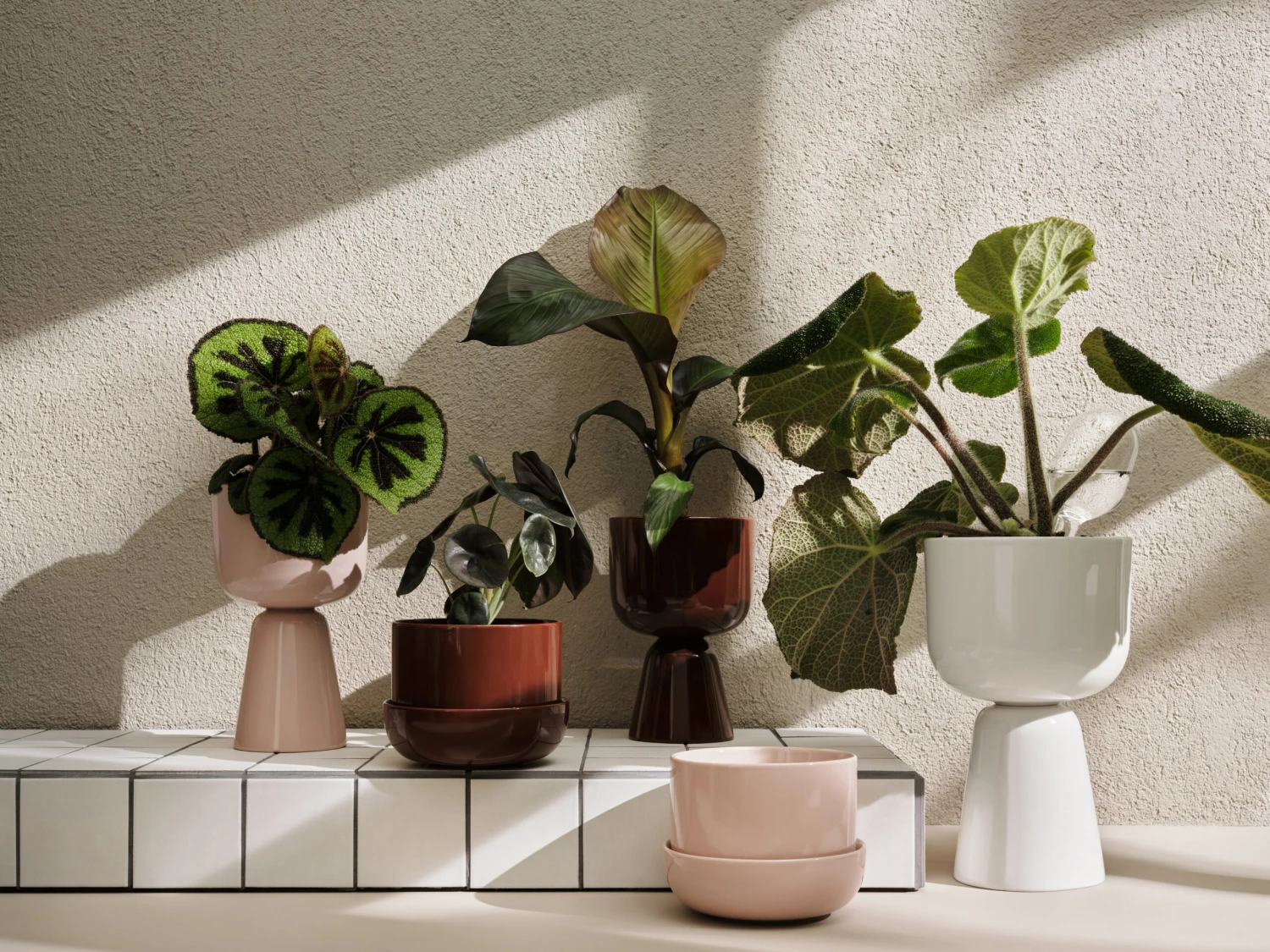 Iittala Nappula Pot H32 Cm Ø19 Cm 4 Iittala Nappula Pot H32 Cm Ø19 Cm - Afbeelding 2