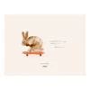Rocky The Rabbit Poster -Sfeer Decoratie 509209 01 1 ProductImageMain 1 7843161454