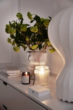 Ernst Glazen Vaas Geribbeld Transparant -Sfeer Decoratie 509825 01 4 EnvironmentImage 211118c89c