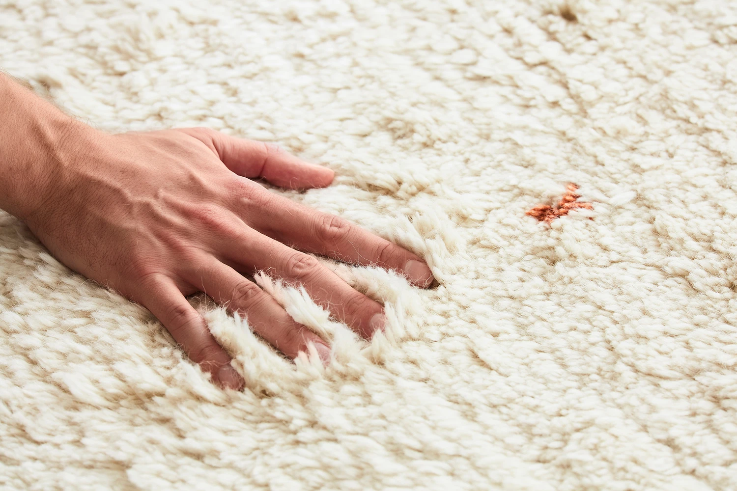 Ravi Vloerkleed 230x320 Cm 5 Ravi Vloerkleed 230x320 Cm - Afbeelding 3