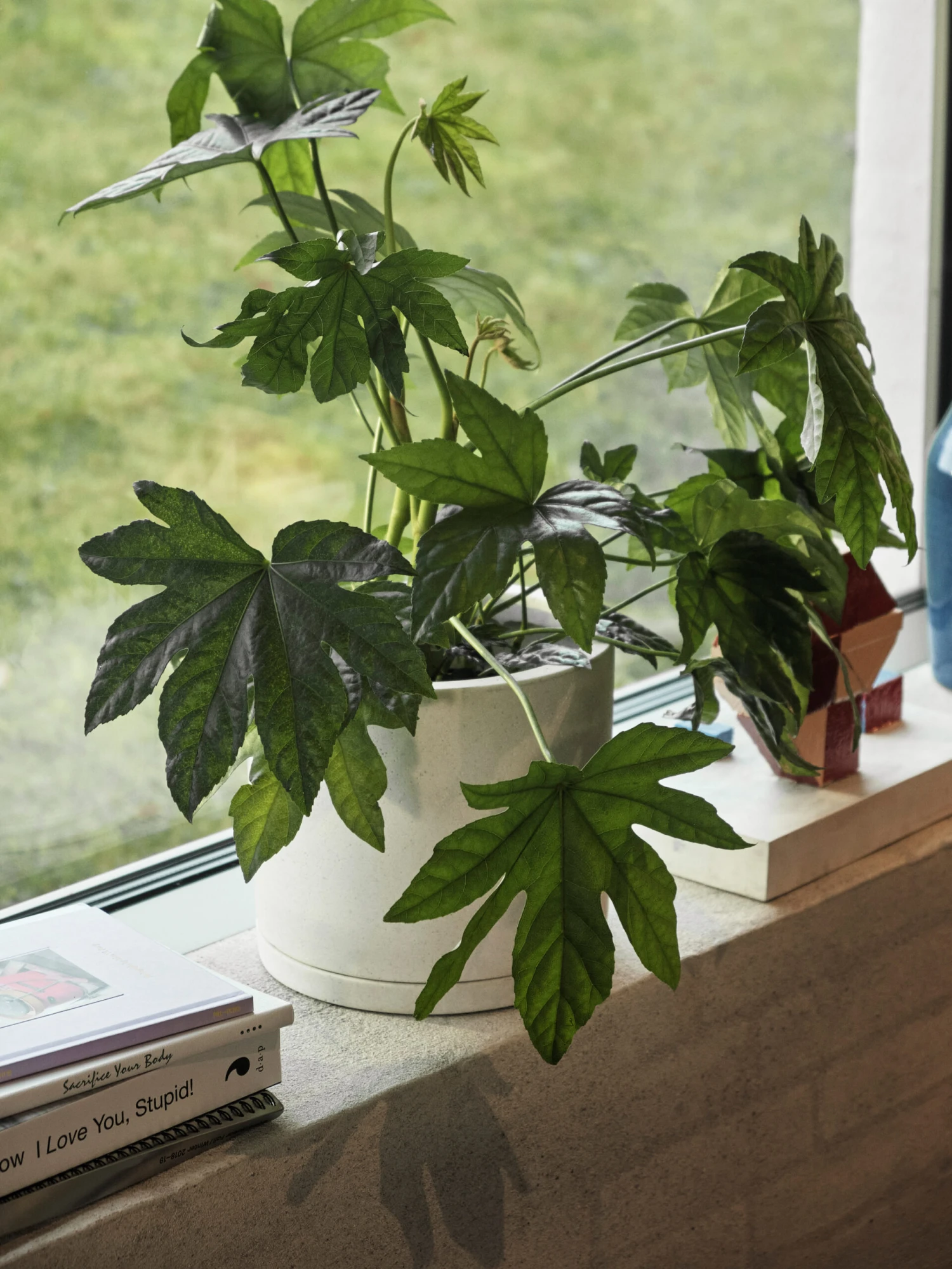 HAY Plant Pot With Saucer Bloempot L Ø19 Cm 4 HAY Plant Pot With Saucer Bloempot L Ø19 Cm - Afbeelding 2