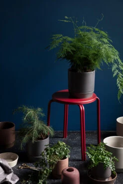 Broste Copenhagen Denise Bloempot Met Schotel Ø14 Cm -Sfeer Decoratie 512164 01 2 EnvironmentImage 5ba85ba884