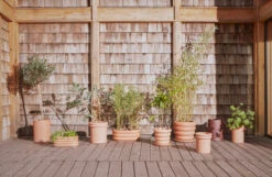 OYOY Inka Bloempot Small -Sfeer Decoratie 513208 01 3 EnvironmentImage 2e3c29fd41