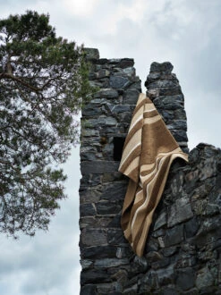 Veda Vloerkleed 170x240 Cm -Sfeer Decoratie 566568 01 10 EnvironmentImage.jpg bd3c94e0b8