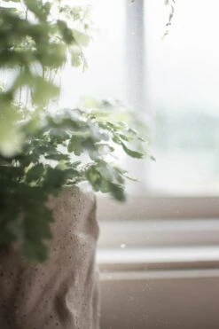 DBKD Flow Bloempot Ø15 Cm 9 DBKD Flow Bloempot Ø15 Cm -Sfeer Decoratie 576388 01 42 EnvironmentImage 9011d4f7dd