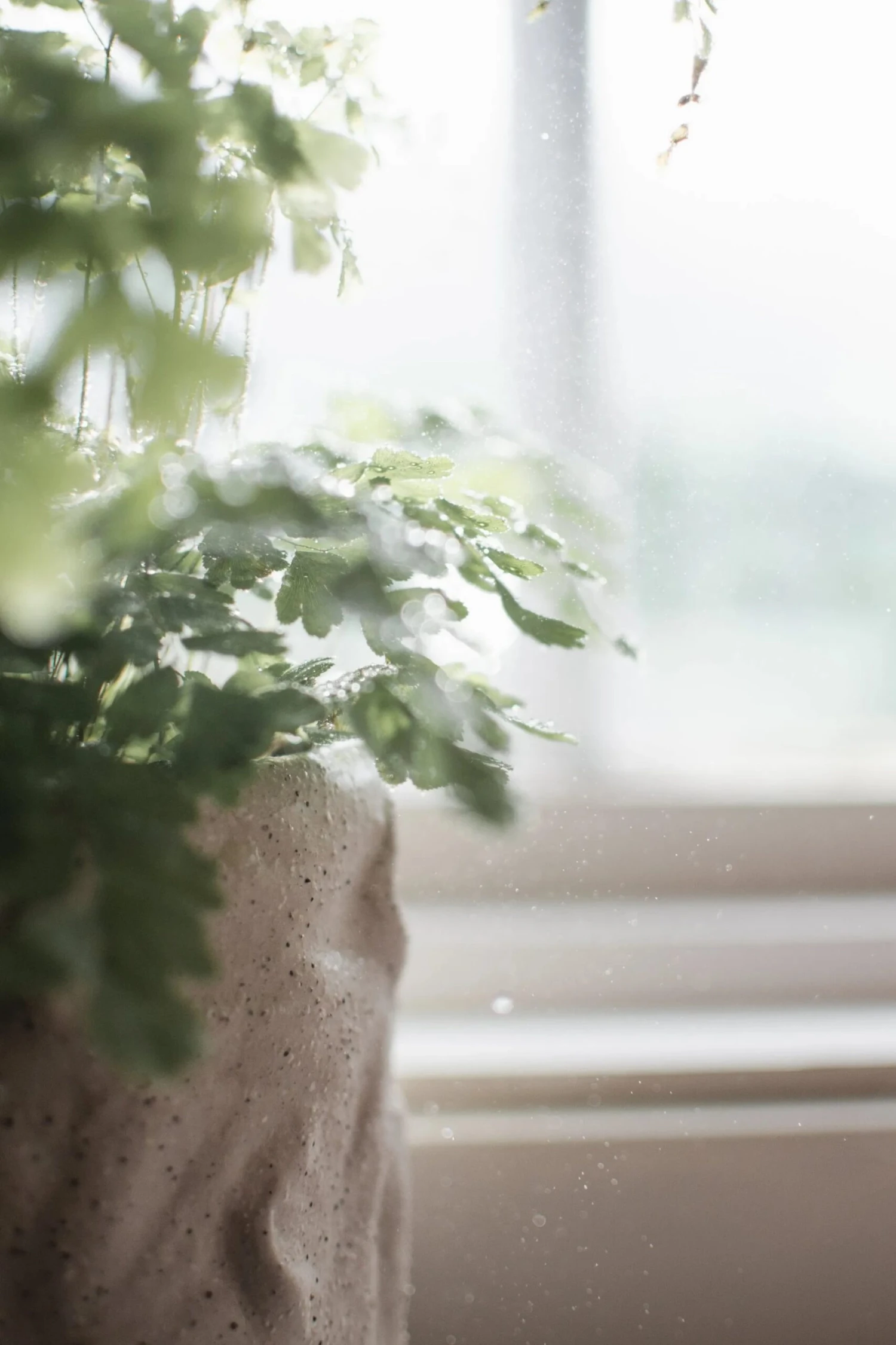 DBKD Flow Bloempot Ø15 Cm 6 DBKD Flow Bloempot Ø15 Cm - Afbeelding 4