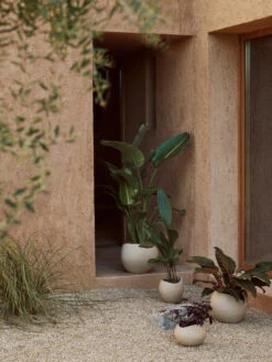 Menu Plantas Bloempot 26 Cm -Sfeer Decoratie 578020 01 41 EnvironmentImage 51a5ae8e1f