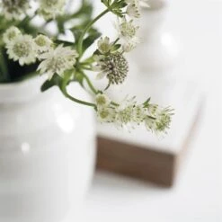 Kähler Omaggio Vaas Parelmoer -Sfeer Decoratie p 26525 02 06 90814fb533