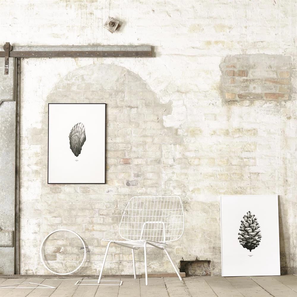 1:1 Pine Cone Poster 5 1:1 Pine Cone Poster - Afbeelding 3