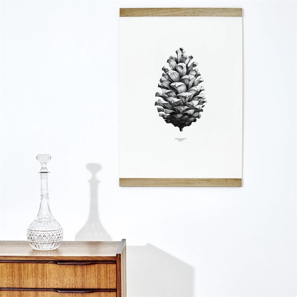 1:1 Pine Cone Poster 6 1:1 Pine Cone Poster - Afbeelding 4